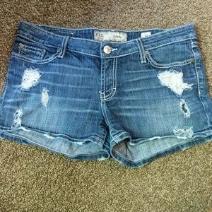Women's Buckle shorts